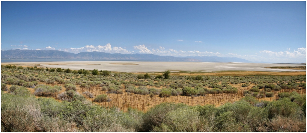 02 - Antelope Insland SP (0).jpg